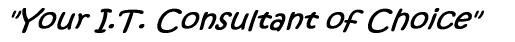 Geekconsultant.com