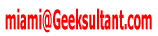 miami@Geeksultant.com